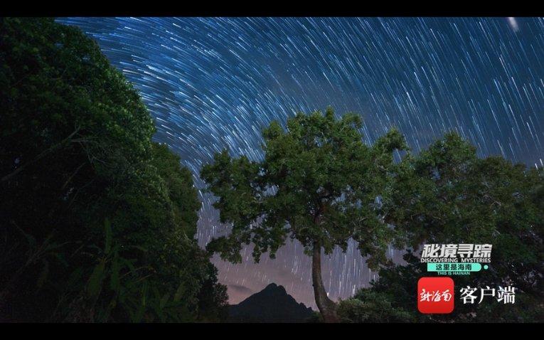 一站式问答平台—女朋友很作,应该怎么办?,专业解答您的疑问